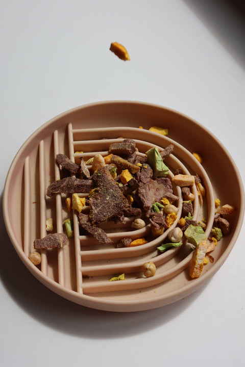 Understanding the Freeze-Drying Process: How We Preserve Nutrition in Our Raw Dog Food