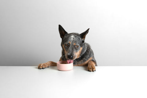 PureBowl Reviews