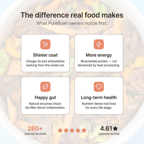 Purebowl Starter Pack | Pre-order